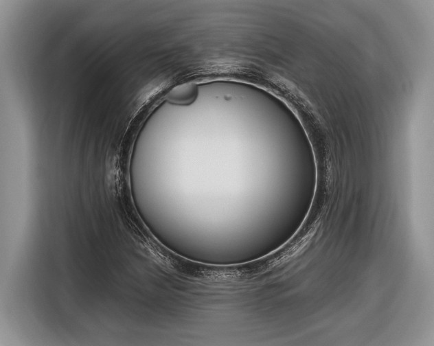 X0000116331210200912091032