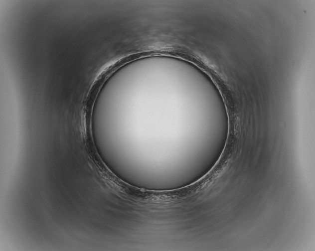 X0000116331214200912091032