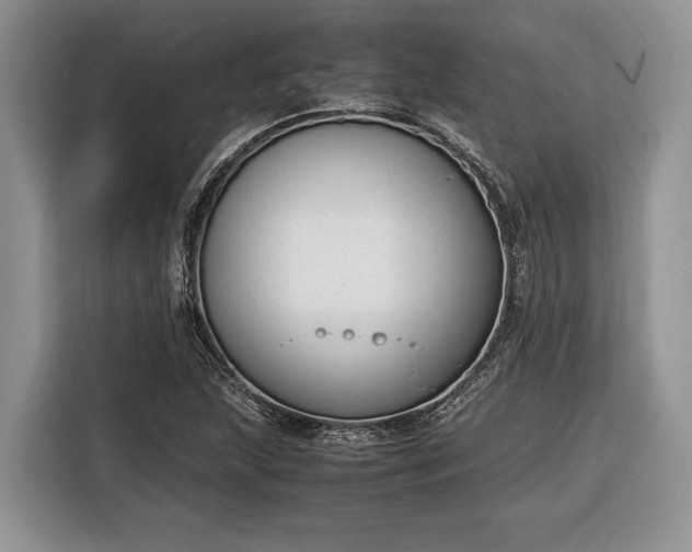 X0000116331215200912091032