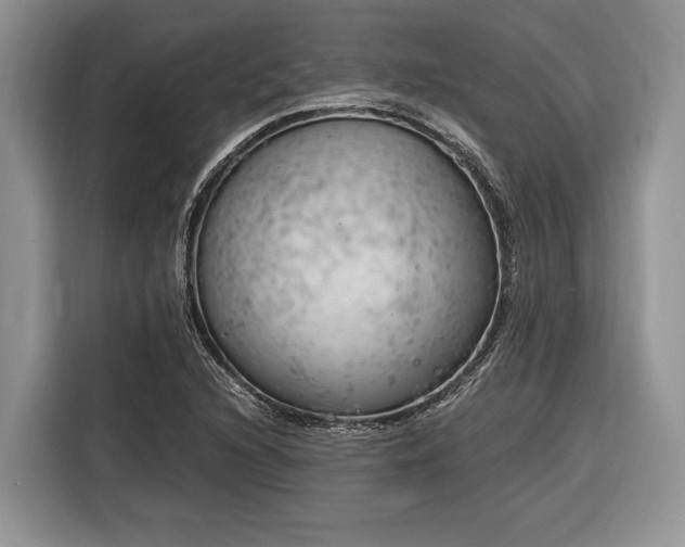X0000116331216200912091032