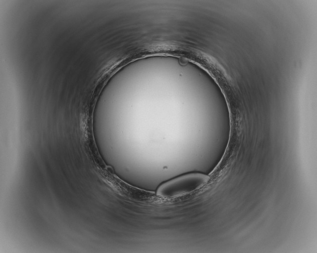 X0000116331217200912091032