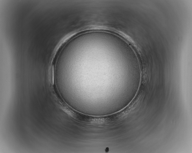 X0000116331223200912091032
