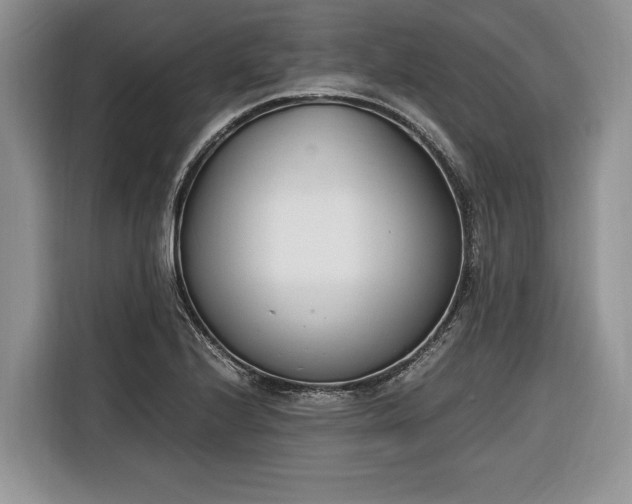 X0000116331224200912091032