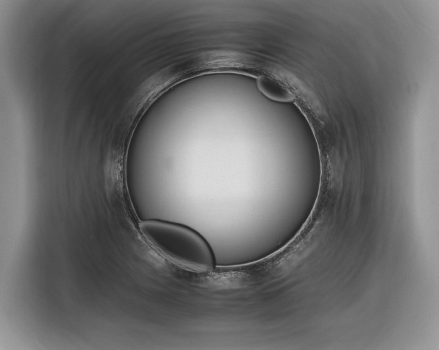 X0000116331225200912091032