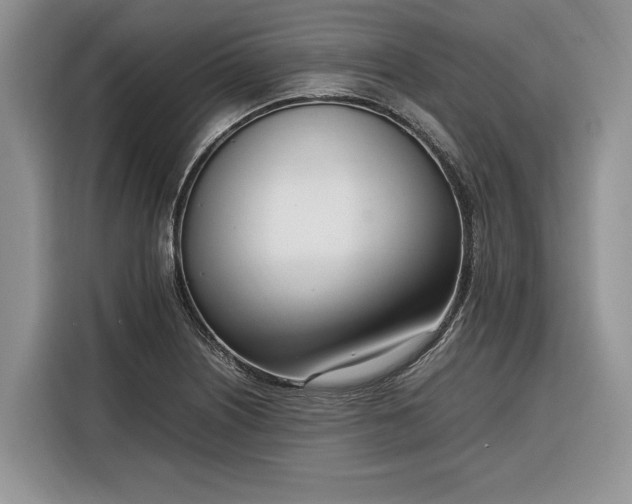 X0000116331226200912091032