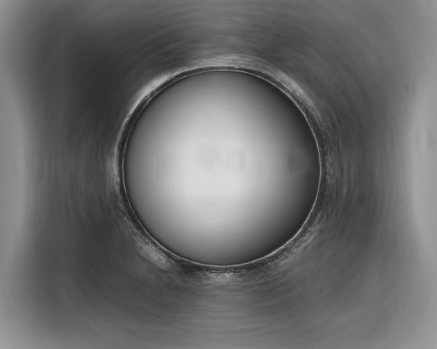 X0000116331230200912091033