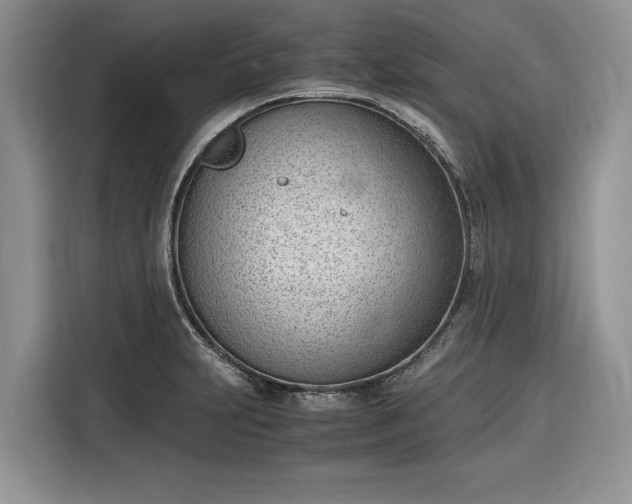 X0000116331231200912091033