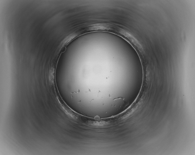 X0000116331233200912091033