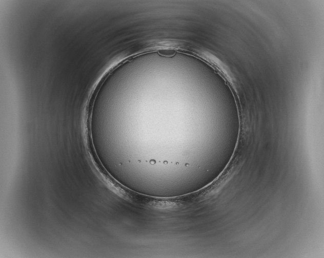 X0000116331235200912091033