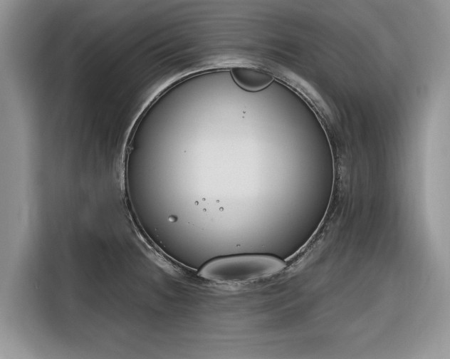 X0000116331236200912091033
