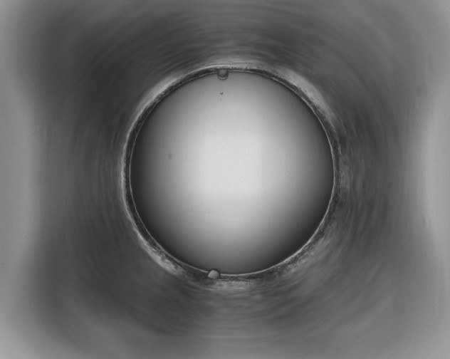 X0000116331237200912091033