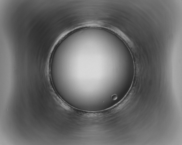 X0000116331240200912091033