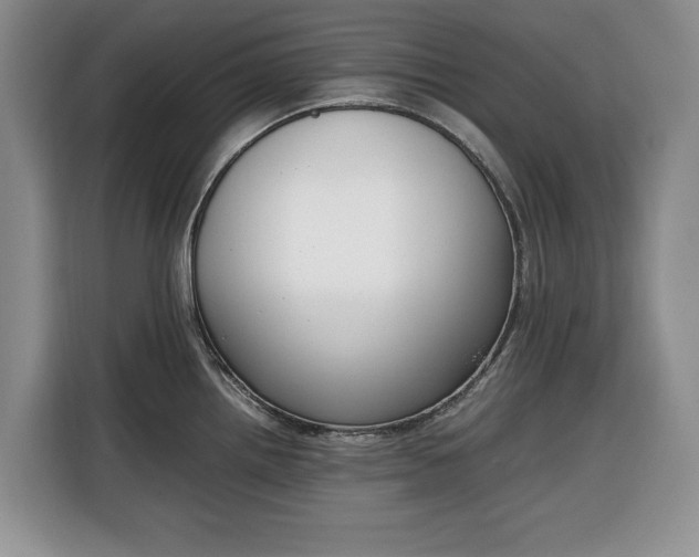 X0000116331242200912091033