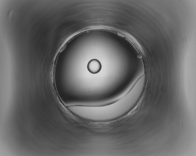 X0000116331244200912091033