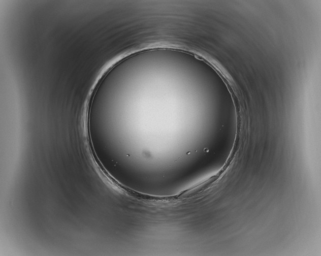 X0000116331246200912091033