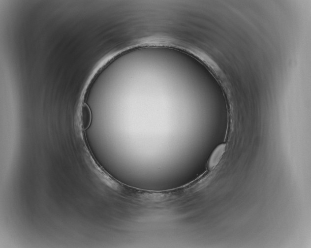 X0000116331248200912091033
