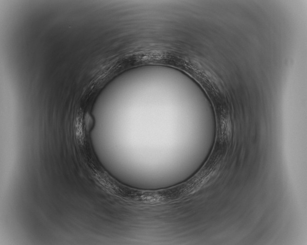 X0000116331250200912091032