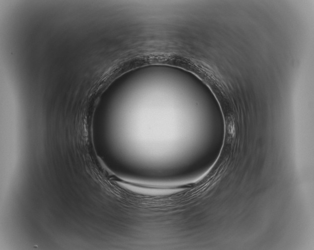 X0000116331252200912091032