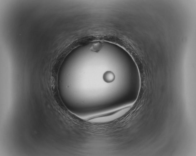 X0000116331253200912091032