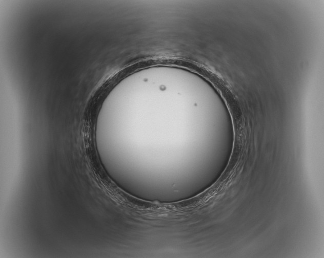 X0000116331255200912091032