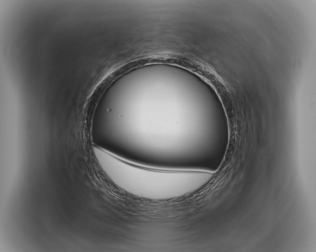 X0000116331256200912091032