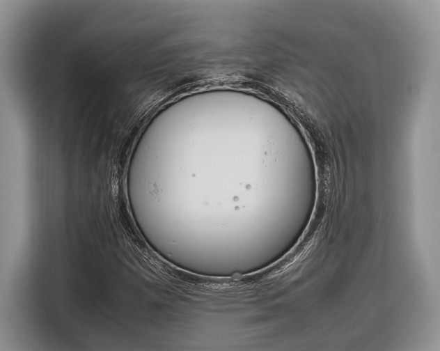 X0000116331257200912091032
