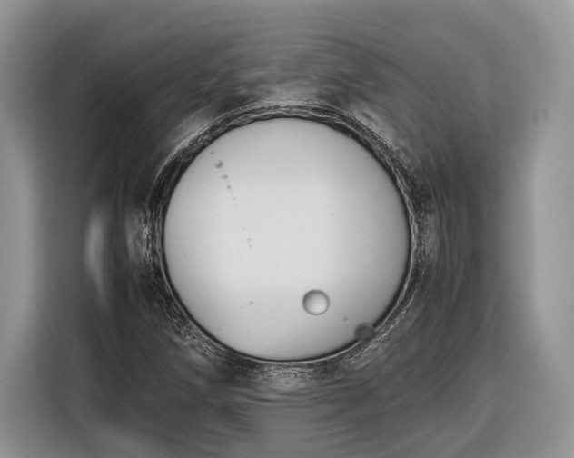X0000116331258200912091032