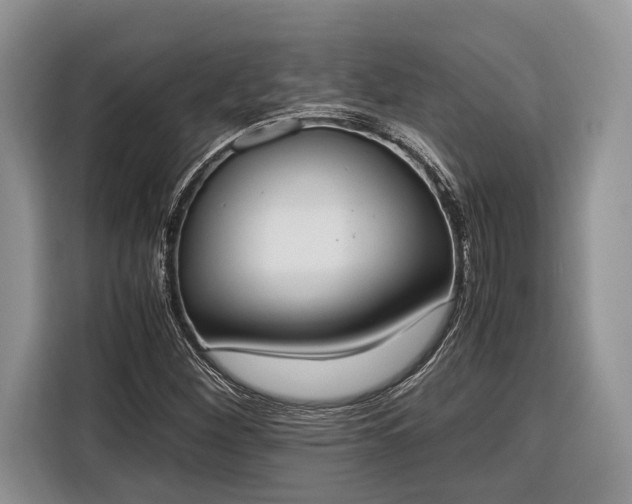 X0000116331260200912091032