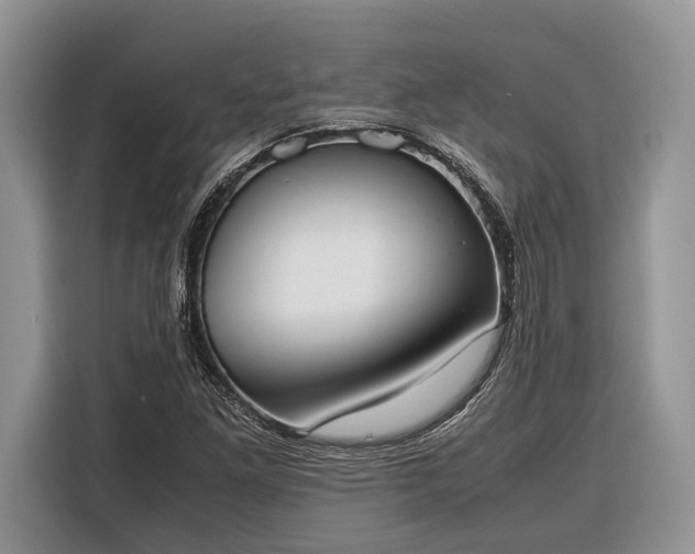 X0000116331261200912091032