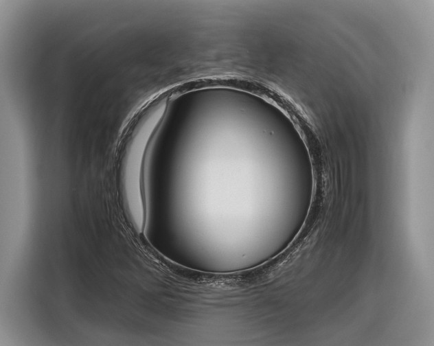X0000116331262200912091032