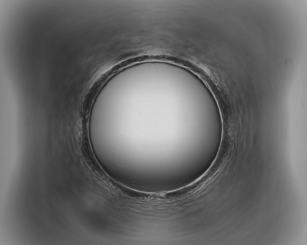 X0000116331263200912091032