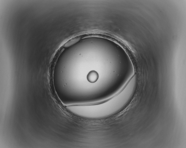 X0000116331264200912091032