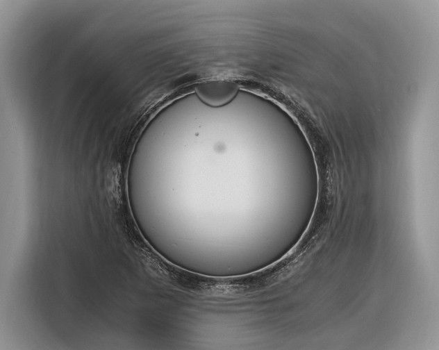X0000116331265200912091032