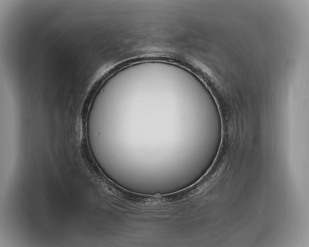 X0000116331267200912091032