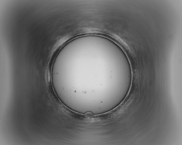 X0000116331269200912091032