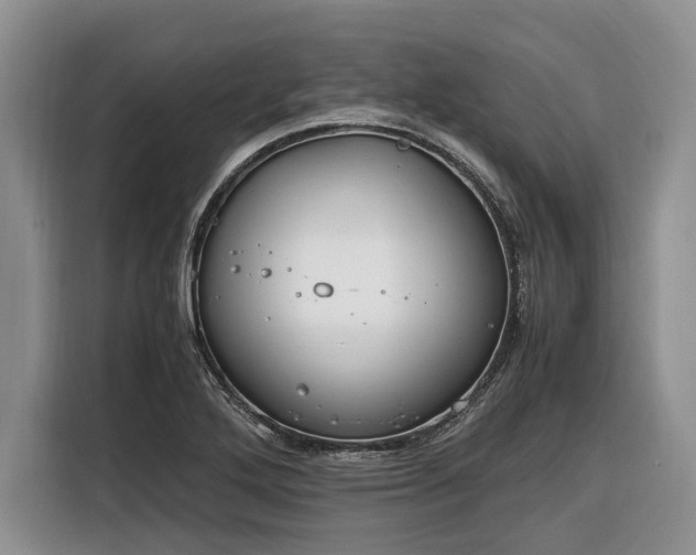X0000116331272200912091032