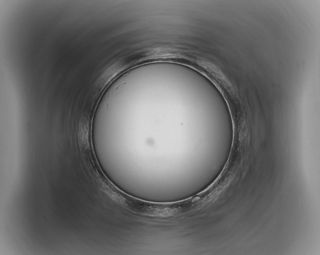 X0000116331273200912091032