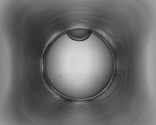 X0000116331274200912091032