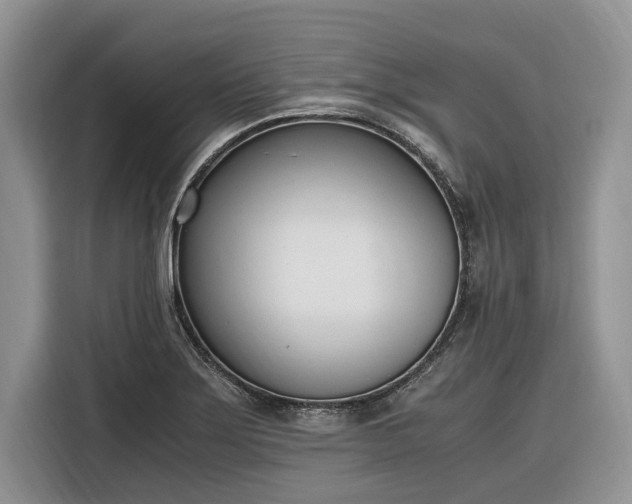 X0000116331275200912091032