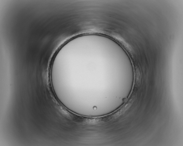 X0000116331278200912091032