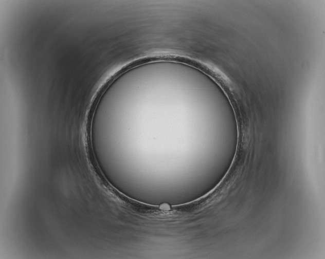 X0000116331279200912091032