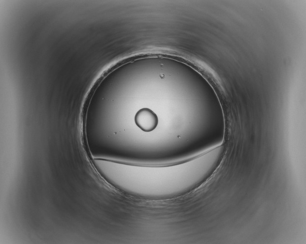 X0000116331280200912091032