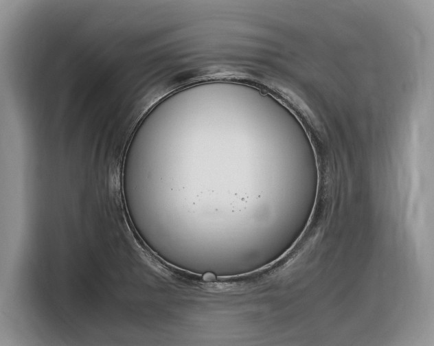 X0000116331281200912091032