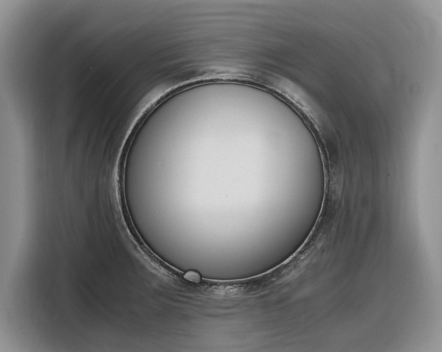 X0000116331283200912091032