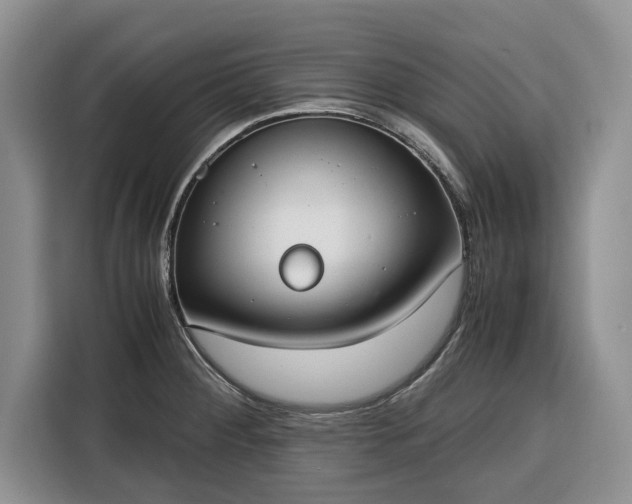 X0000116331284200912091032