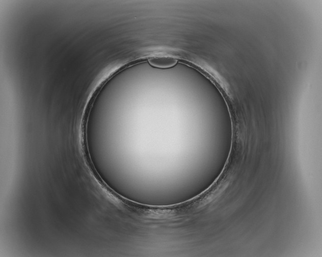 X0000116331285200912091032