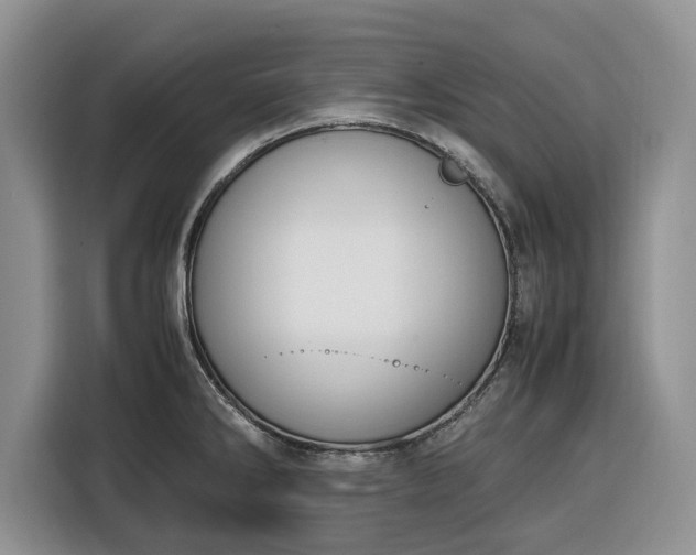 X0000116331286200912091032