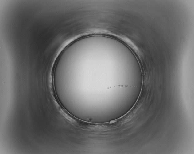 X0000116331287200912091032