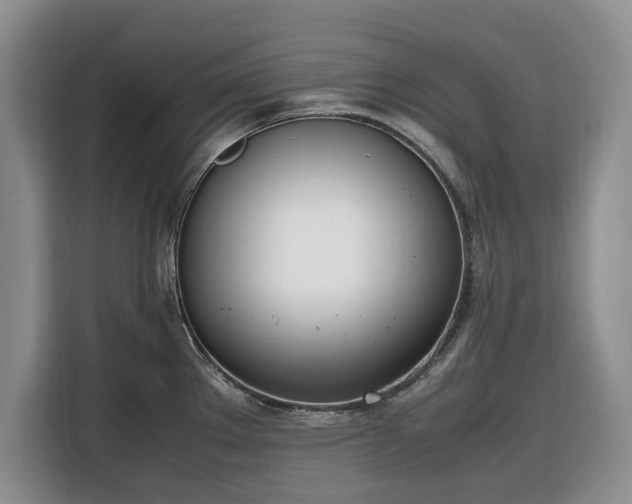 X0000116331289200912091032