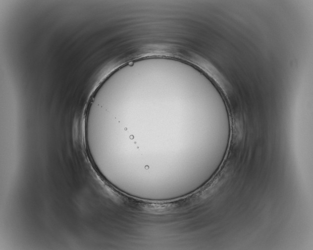 X0000116331290200912091032